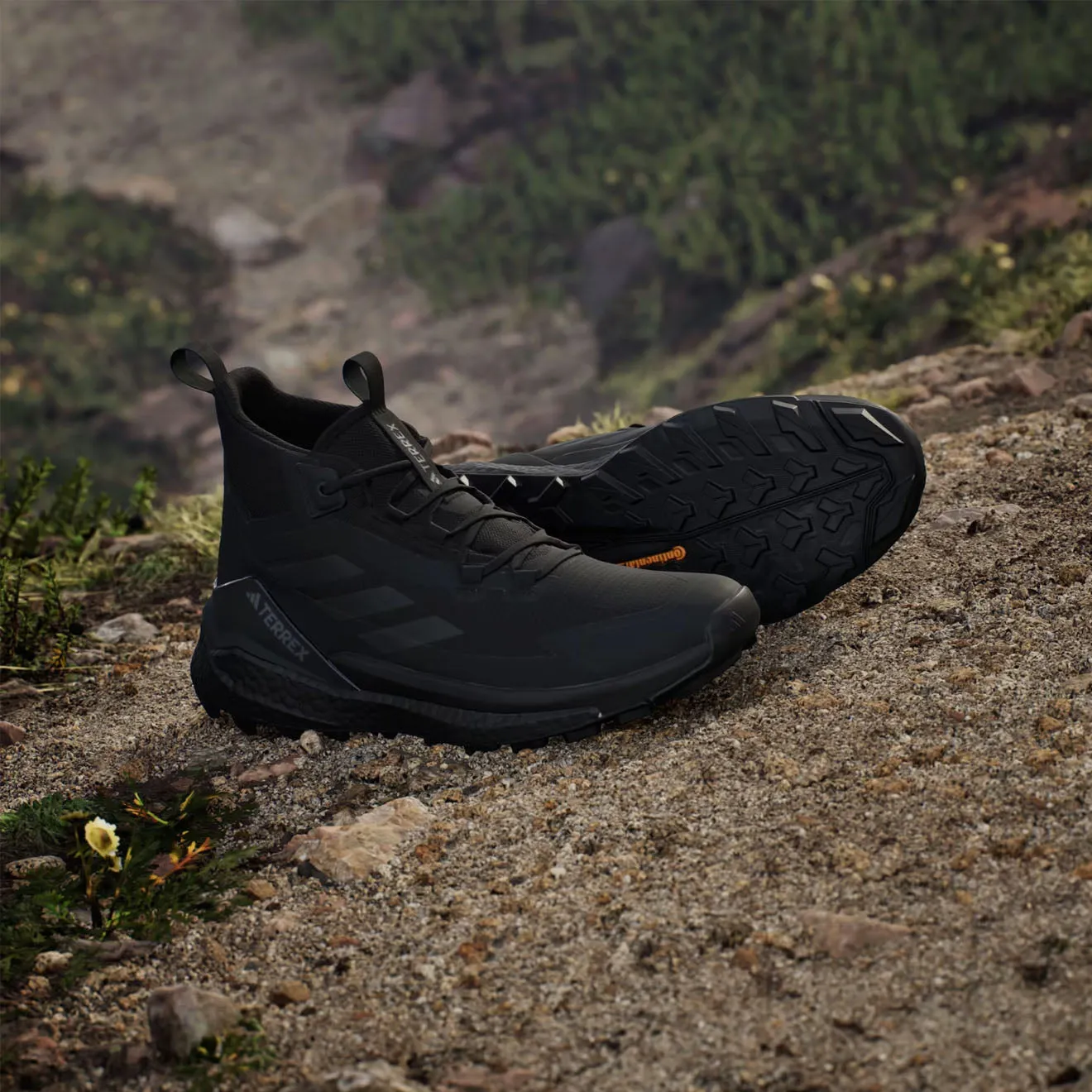 Chaussures de randonnée Adidas Terrex Free 2 Noir