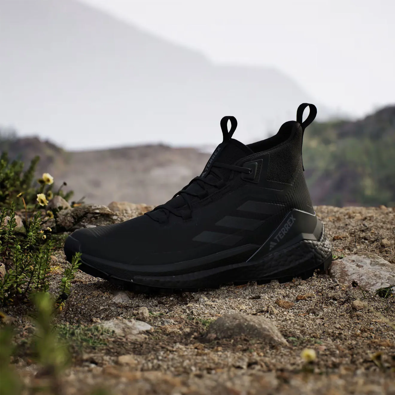 Chaussures de randonnée Adidas Terrex Free 2 Noir