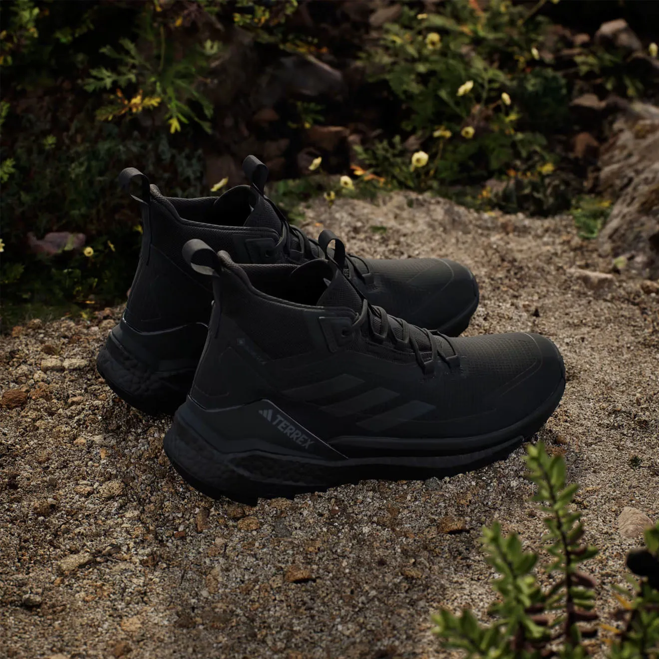 Chaussures de randonnée Adidas Terrex Free 2 Noir