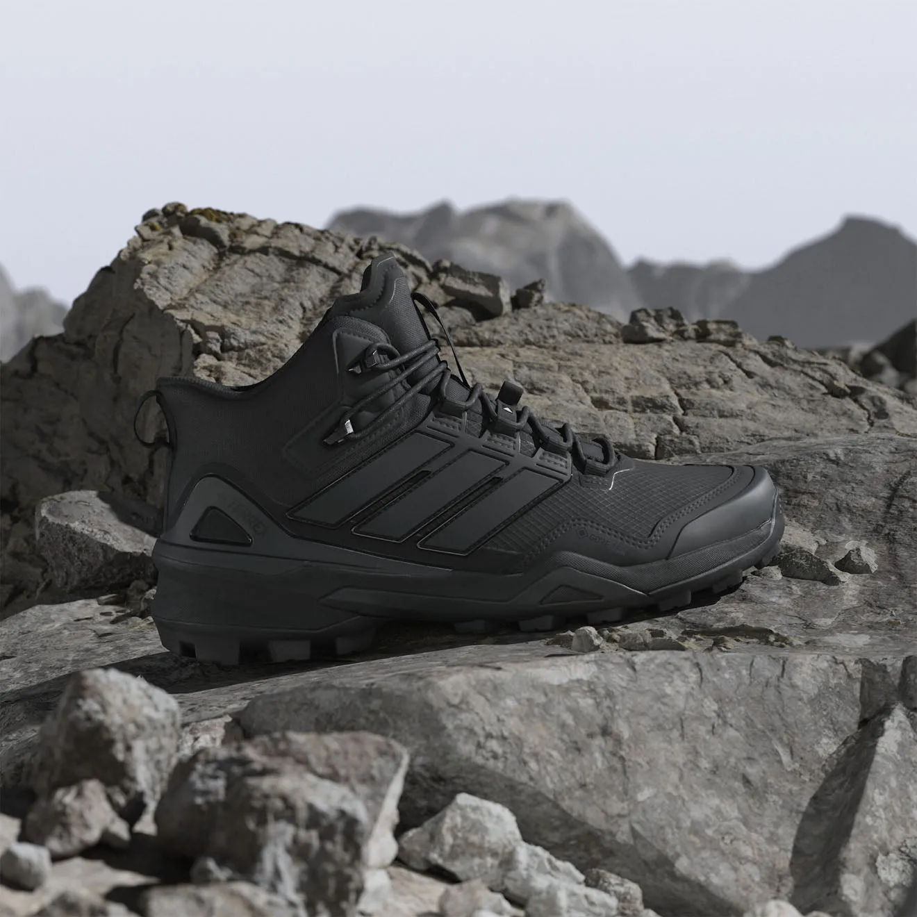 Adidas Terrex Chaussures de randonnée Skychaser Mid Noir