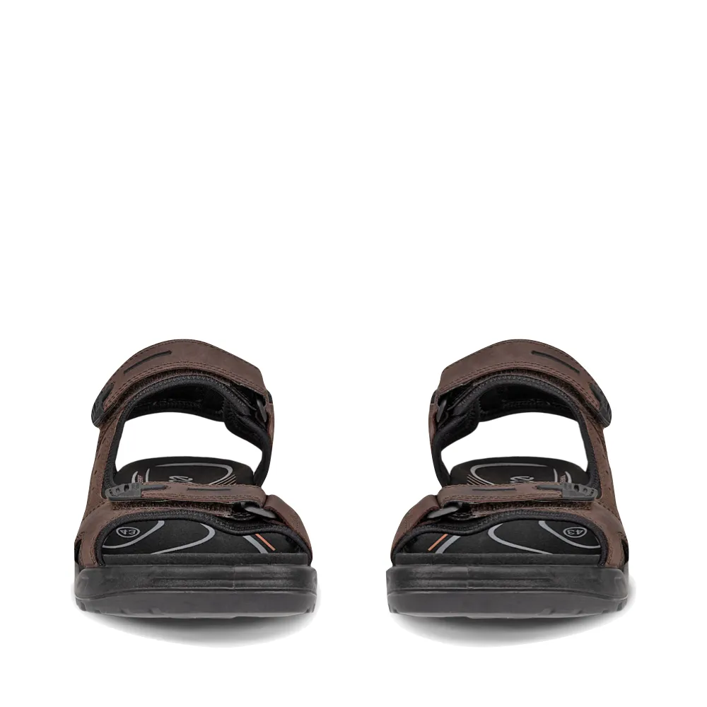Sandale Yucatan pour Homme Ecco en Moka