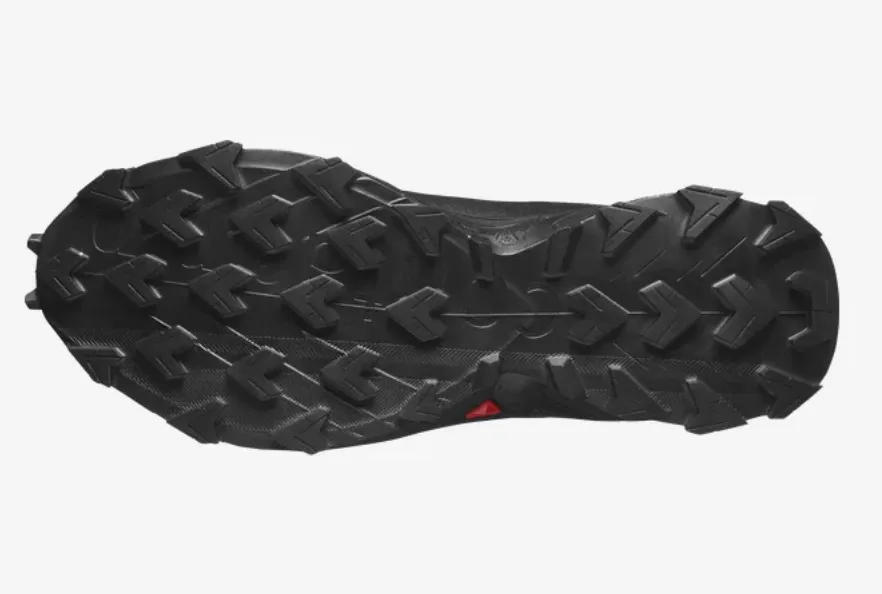 Alphacross 5 GTX pour Homme