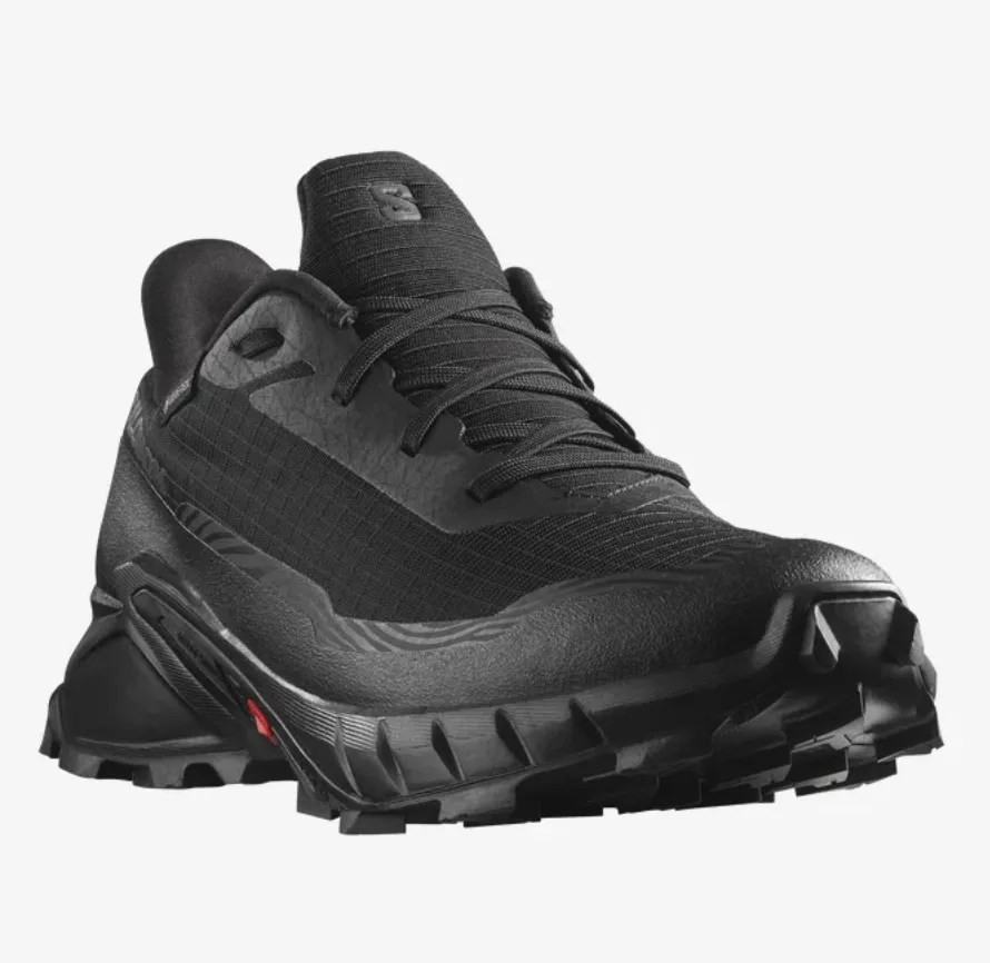 Alphacross 5 GTX pour Homme