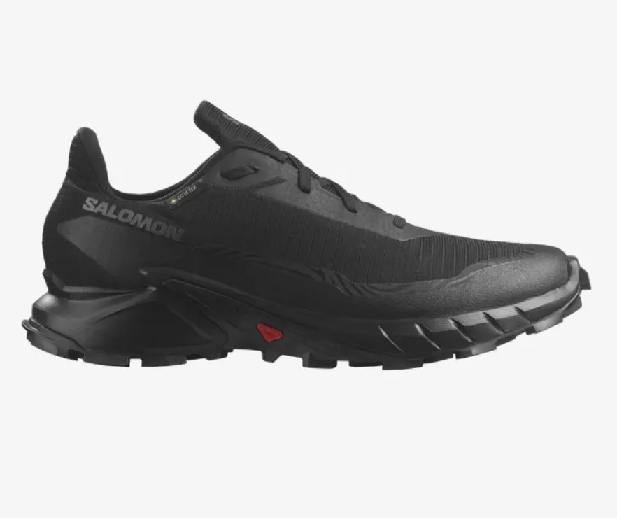 Alphacross 5 GTX pour Homme