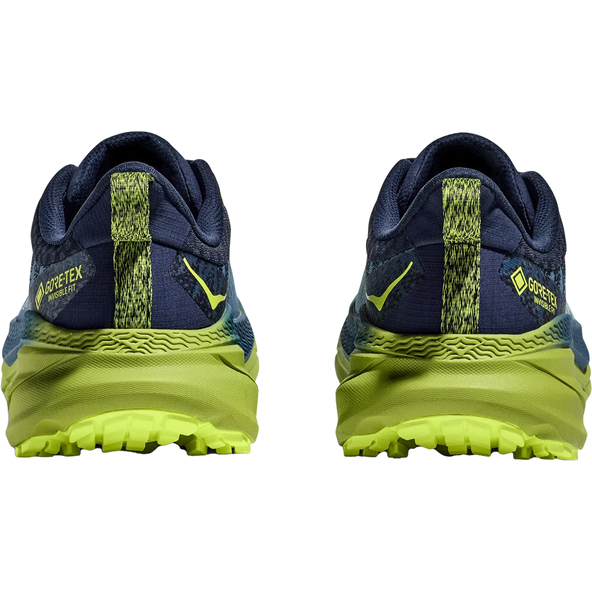 Chaussure de randonnée Challenger ATR 7 GTX pour homme