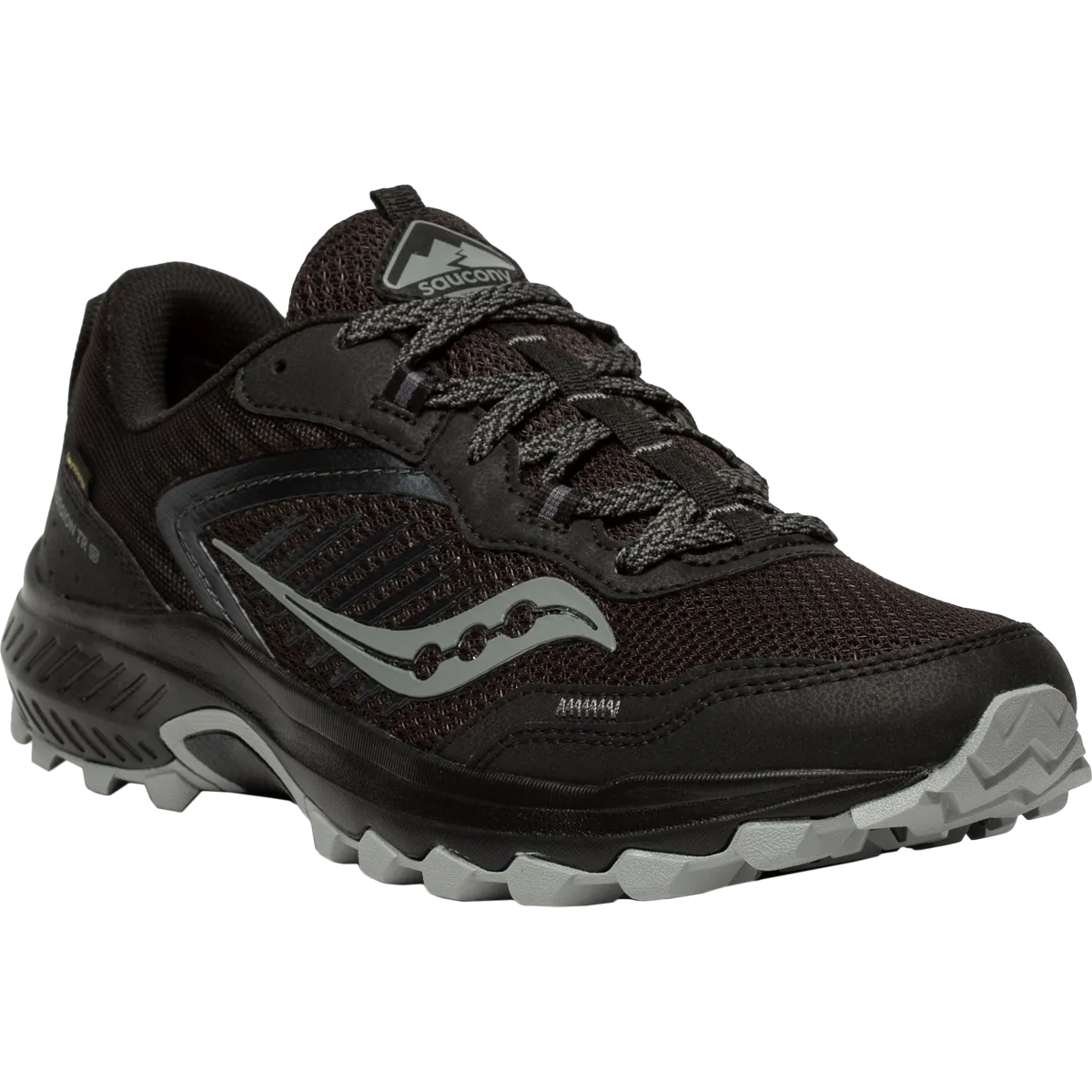 Excursion TR15 GTX pour Hommes