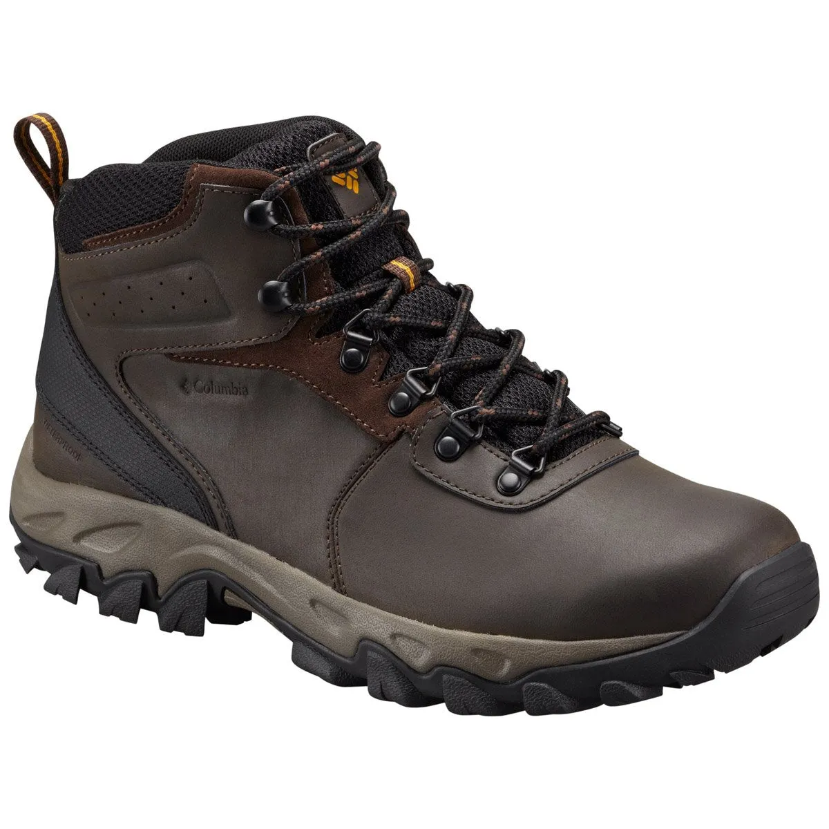 Chaussure de randonnée imperméable Newton Ridge Plus II pour homme