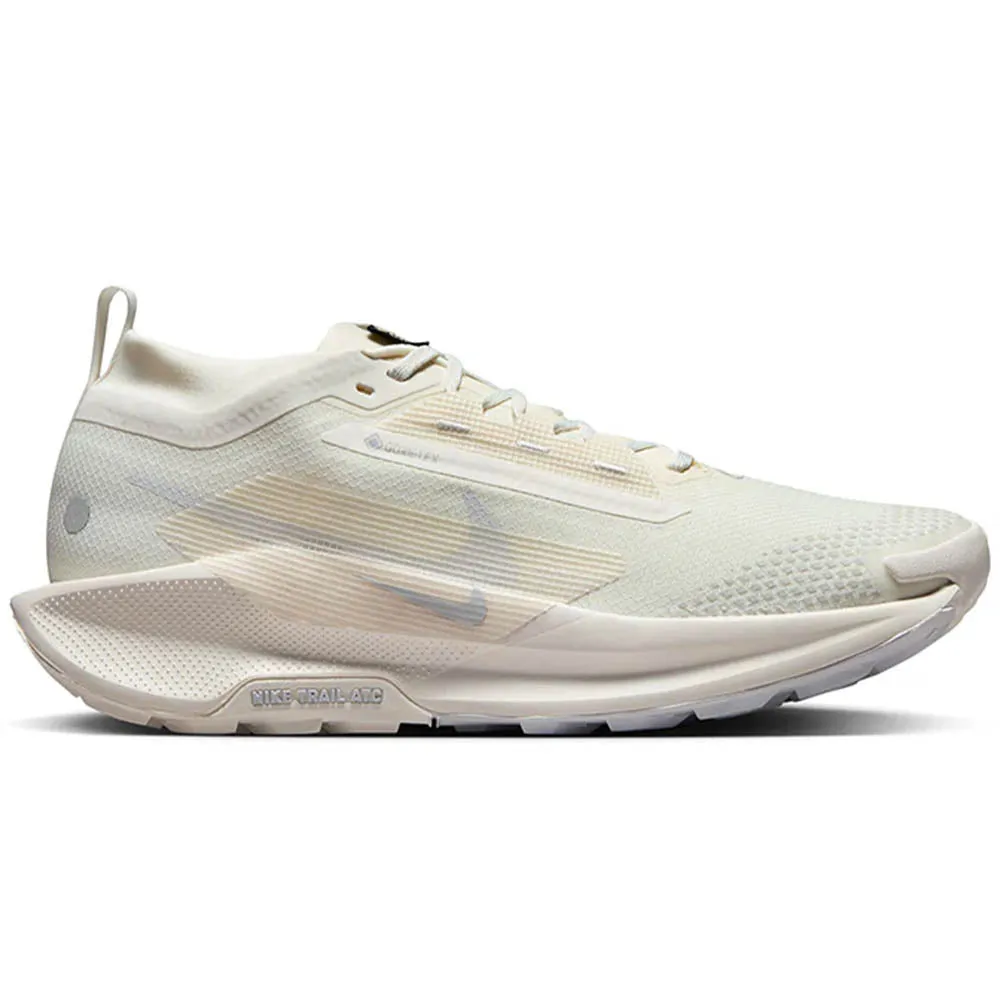 Nike Pegasus Trail 5 GORE-TEX pour Homme