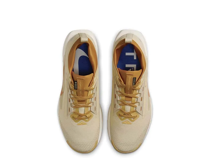 Chaussures Nike Nike Pegasus Trail 5 Gore-Tex 
