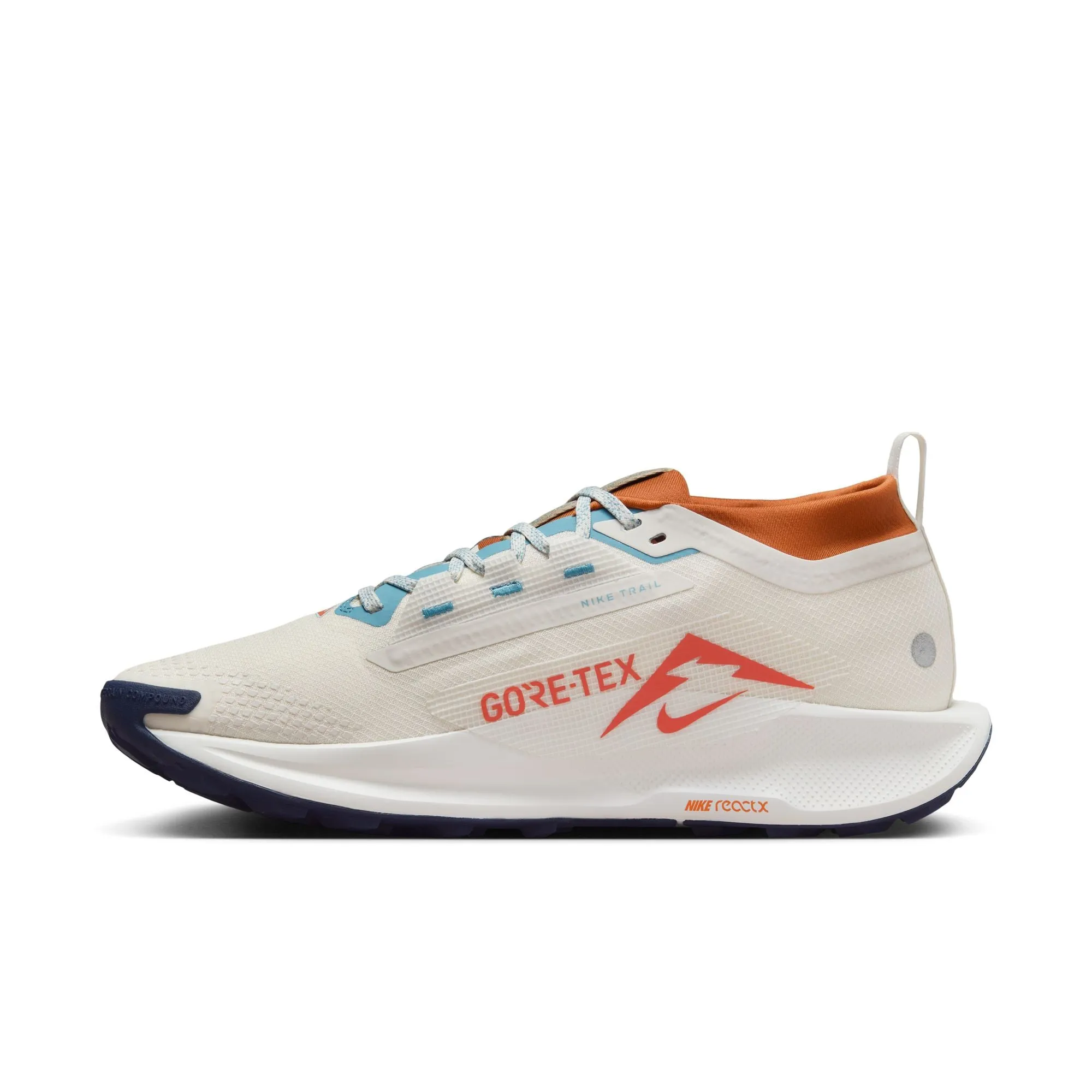 Pegasus Trail 5 GTX - Homme