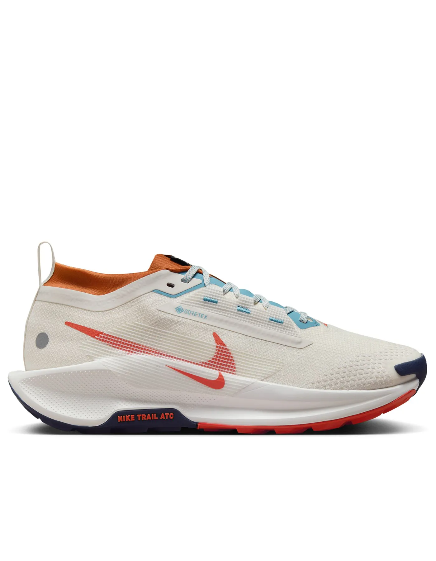 Pegasus Trail 5 GTX - Homme