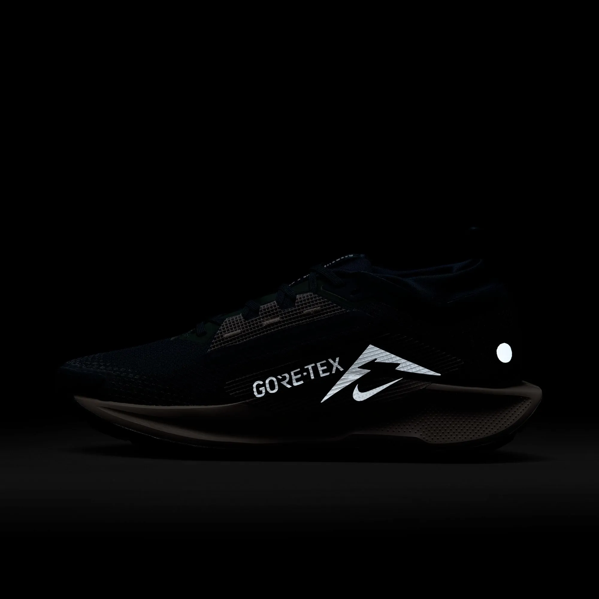 Pegasus Trail 5 GTX - Femme