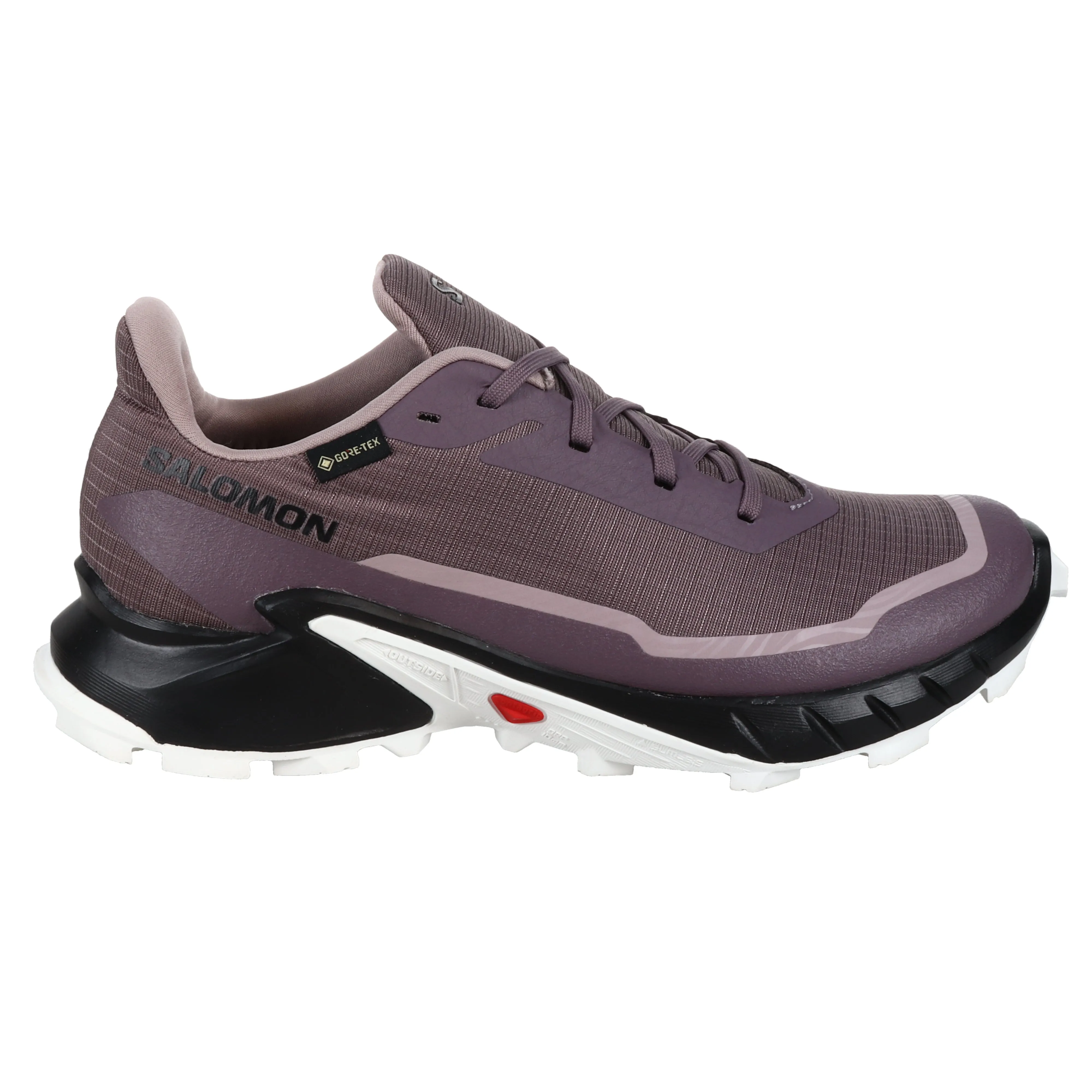 Alphacross 5 GTX pour Femmes