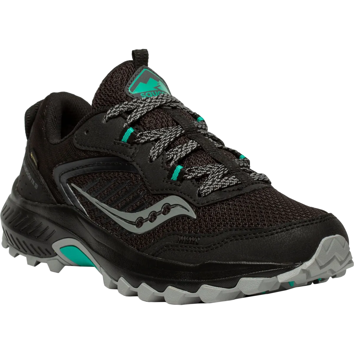 Excursion TR15 GTX pour Femmes