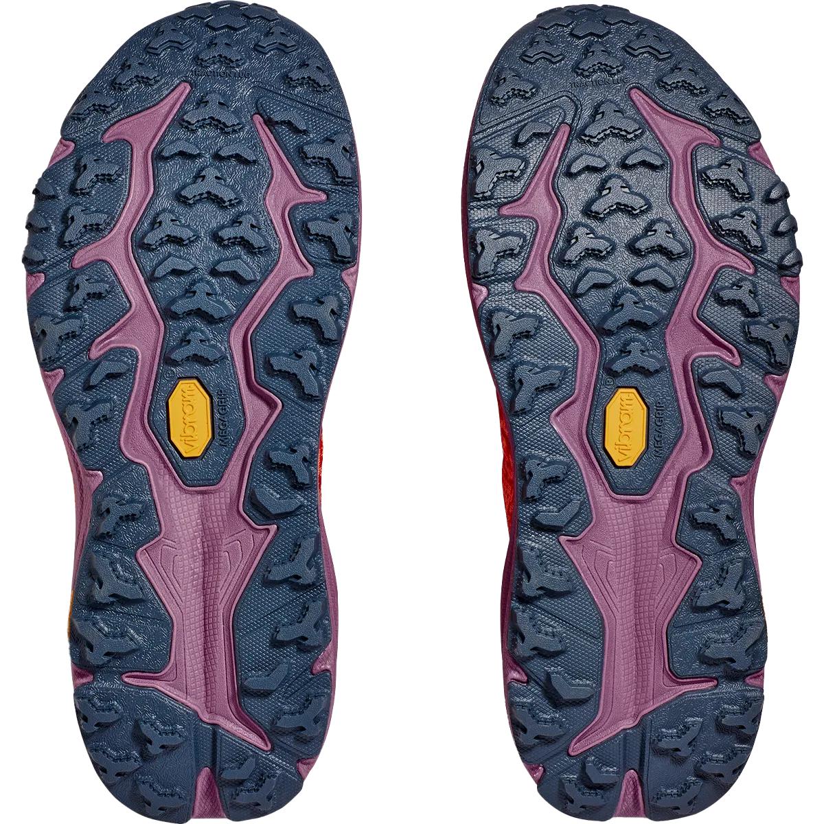Speedgoat 6 pour Femmes