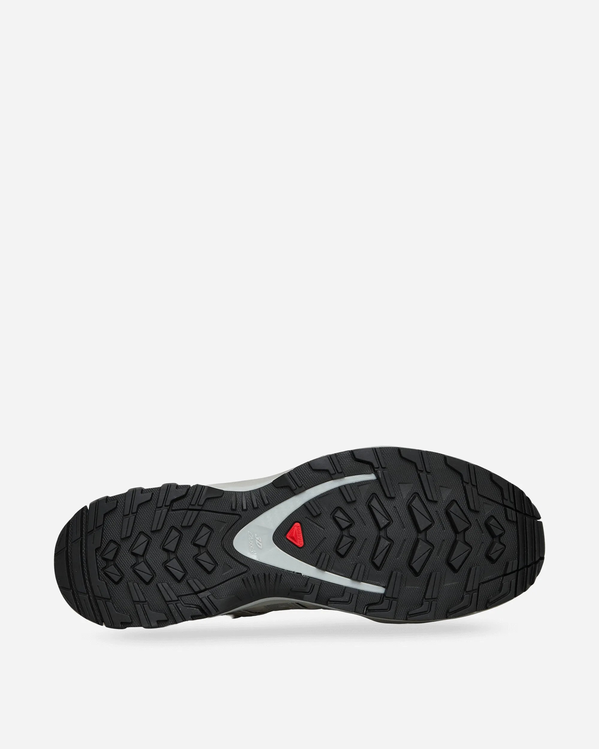 XA PRO 3D Sneakers Alloy / Argent / Roche Lunaire